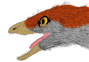 Sinosauropteryx Prima