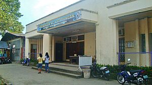 Sogod Court