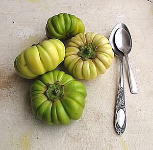 Solanum aethiopicum - African Eggplant