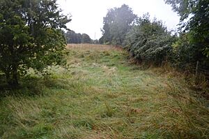 Southorpe Paddock 3