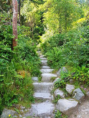 Steps up Cardiac Hill, Torc Waterfall, Killarney, Ireland