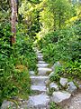 Steps up Cardiac Hill, Torc Waterfall, Killarney, Ireland