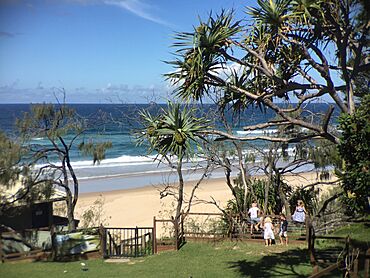 Sunshine Beach seen from the Sunshine Beach Surf Life Saving Club.jpeg