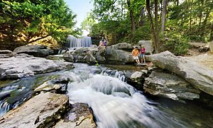 Tanyard Falls 2017