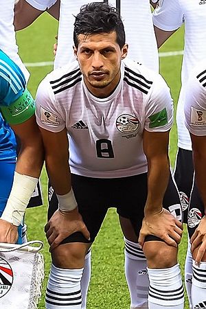 Tarek Hamed Facts for Kids