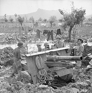 The British Army in Italy 1944 NA19246