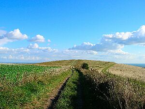 Thundersbarrow Hill - geograph.org.uk - 54113