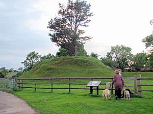 Trellech - Tump Terret Castle Mound - geograph.org.uk - 473817