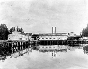 Tyee Company whaling station, Tyee, Alaska, July 28, 1911 (COBB 88)
