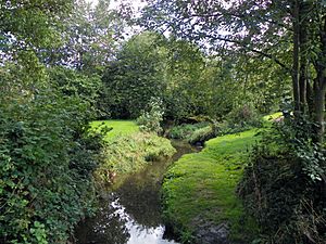 Tykes Water, Borehamwood (32865321443)