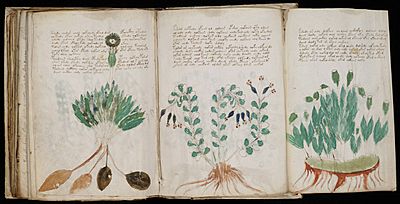 Voynich Manuscript (170)