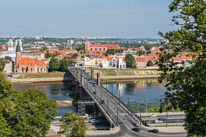 Vytautas the Great Bridge from hill, Kaunas, Lithuania - Diliff