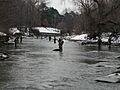 Walnut Creek fishing