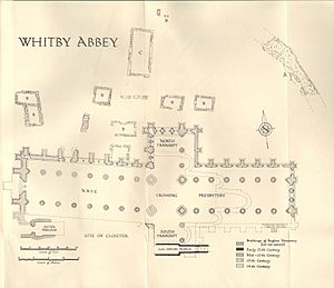 Whitby Abbey Plan
