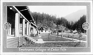 Worker housing at Cedar Falls, Washington, 1914 (48577175356)