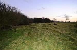Wymington Meadow 5