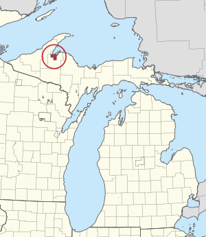 Location within the State of Michigan