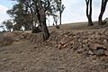 1958 - Cox's Road and Early Deviations - Sodwalls, Fish River Descent Precinct (5062553b1)