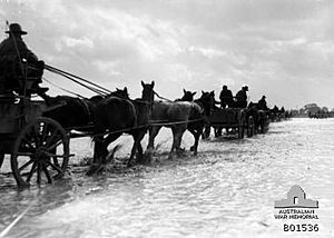 1st Australian Light Horse wagons at Esdud 1918 AWM photo B01536