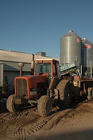 Allis-Chalmers 7060 in Wisconsin