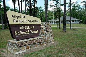 Angelina National Forest sign