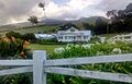 Anna Ranch, Waimea