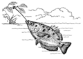Archerfish (PSF)