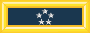 Army-USA-OF-10