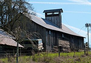 Arndt Prune Dryer - Ridgefield Washington