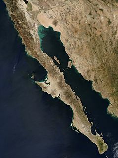 Baja peninsula (mexico) 250m.jpg