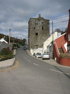 Ballyhack Castle