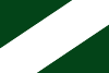Flag of Riells i Viabrea