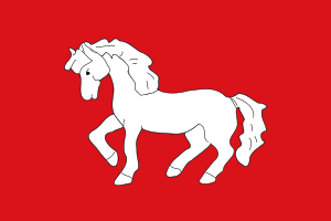Bandera de Sant Martí Sesgueioles