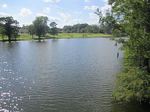 Bayou Desiard, Monroe, LA IMG 2778