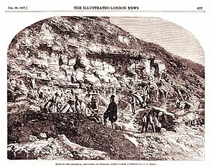 Beccles Pit ILN 1857