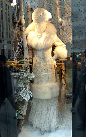 Bergdorf Goodman window on Fifth Avenue New York City