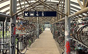 Bikes in Aarhus