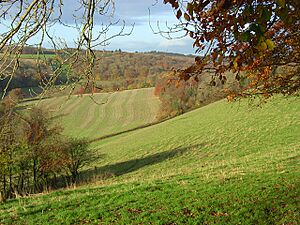 Bix Bottom - geograph.org.uk - 1049592