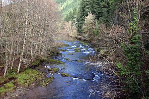 Blue River - Blue River Oregon.jpg