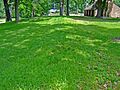 Burrows Park mound