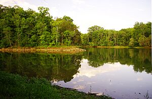 Calfkiller-river-mouth-tn1