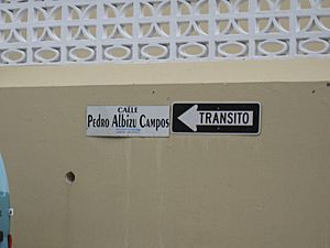 Calle Pedro Albizu Campos in Lares barrio-pueblo, Puerto Rico