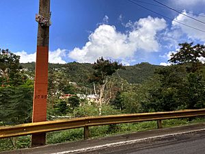 Casas en la montaña en Celada, Gurabo, Puerto Rico