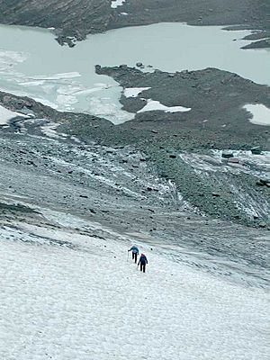 Chaney Glacier 2004