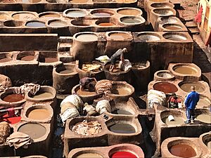 Chouara Tannery - 156 - Marokko Handybilder 2018 - Fes (41497450044)