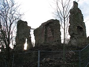 Codnor castle02