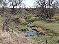 Cottonwood Creek (Nance Co NE) S of Valley Rd facing DS 1