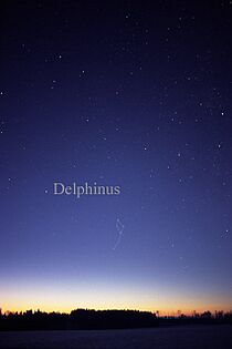DelphinusCC