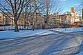 Detroit Waldorf School 1
