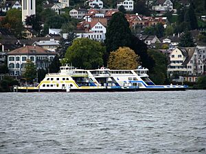 FS Meilen & Schwan & Zürisee IMG 0853